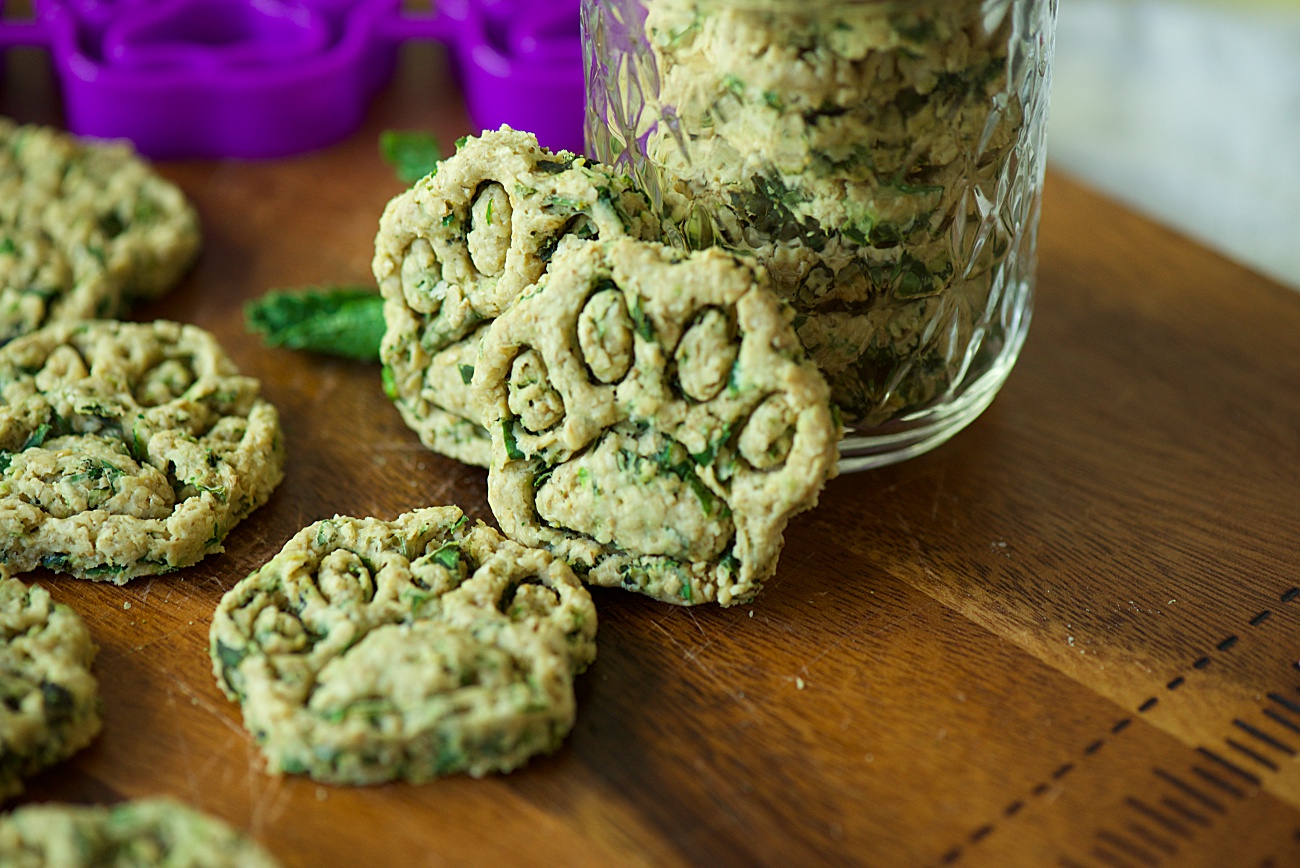 homemade-mint-dog-treats-12-tomatoes