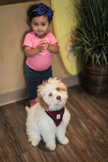 Fishers Pediatric Dentistry