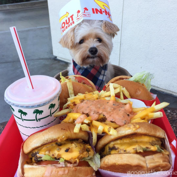 Instagram: @popeyethefoodie