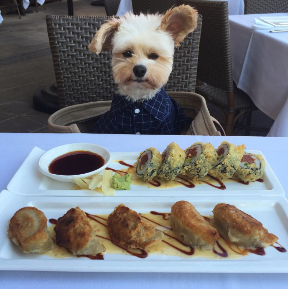 Instagram: @popeyethefoodie