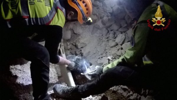 Vigili del Fuoco