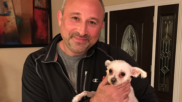 Facebook: WE FOUND BELLA the DOG