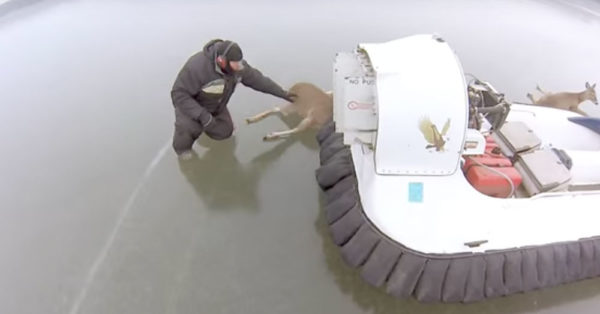 Source: YouTube/GoPro
