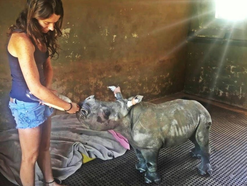 The Rhino Orphanage
