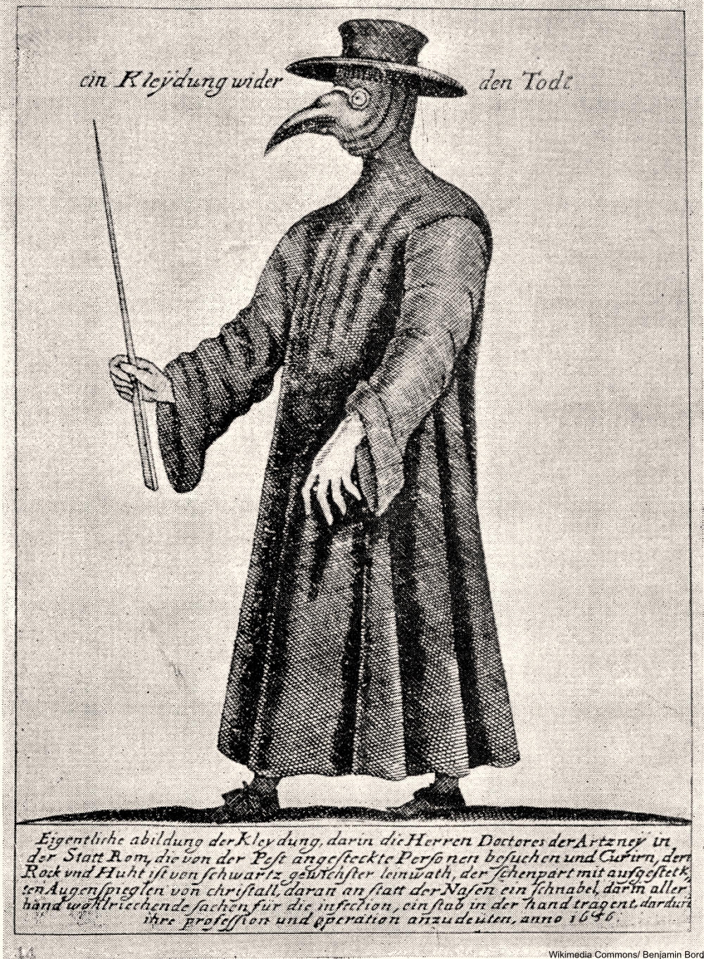 Strange history You Never Learned in School