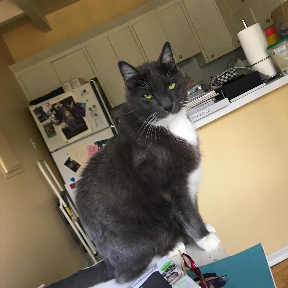 Sheila @love2foster