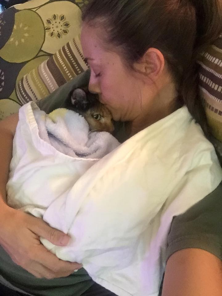 Saving Raggedy Ann- A Foster Story