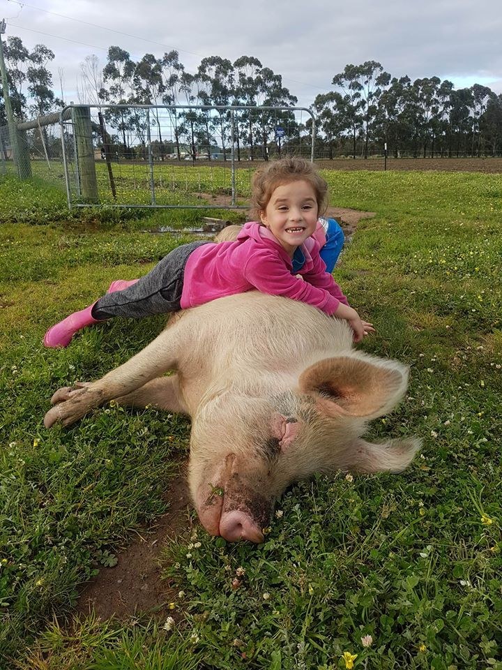 Greener Pastures Sanctuary