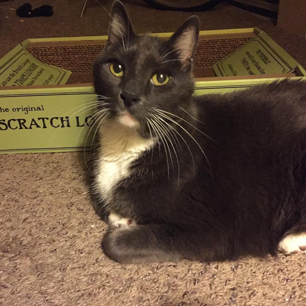Sheila @love2foster