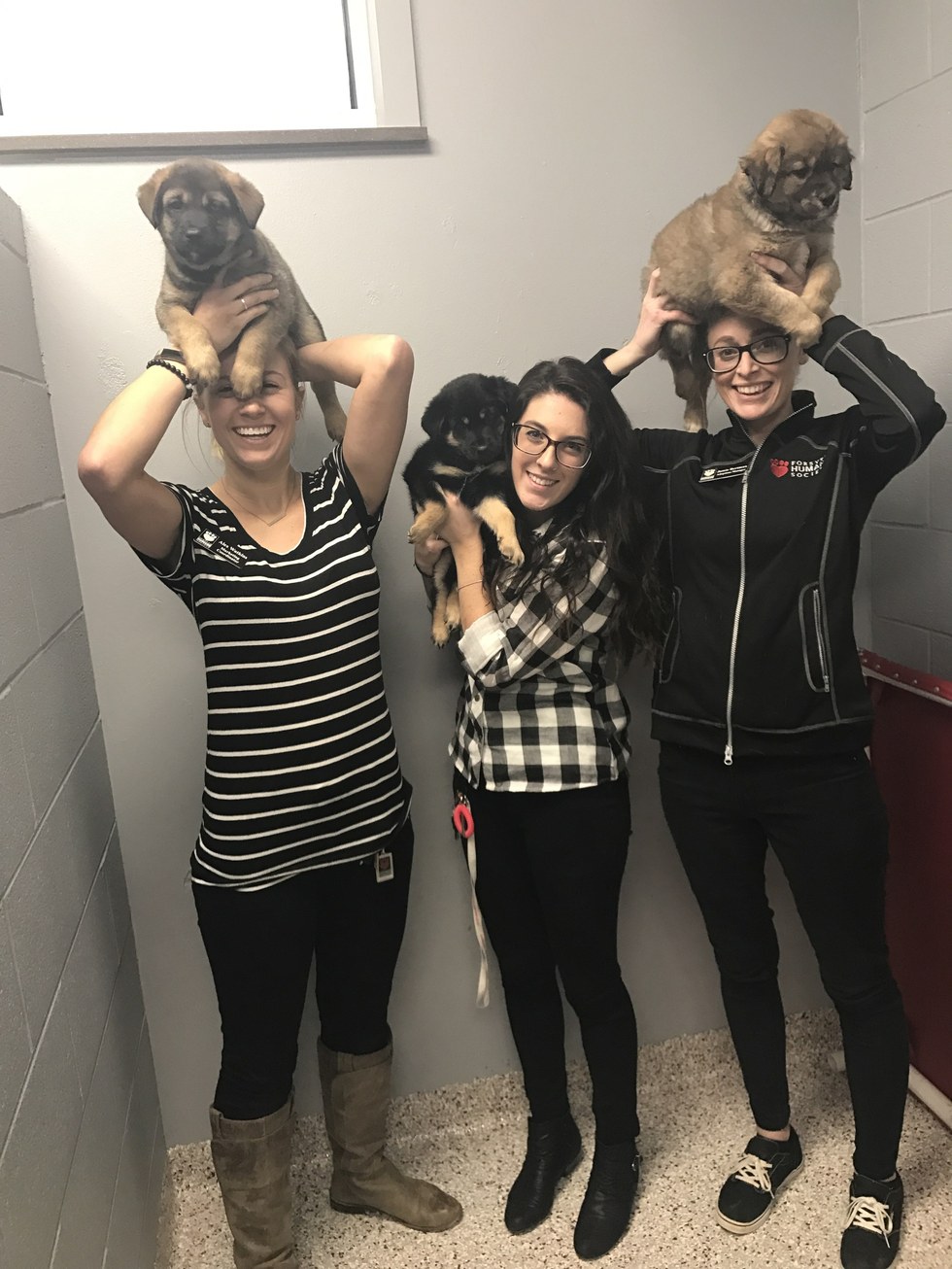 Forsyth Humane Society