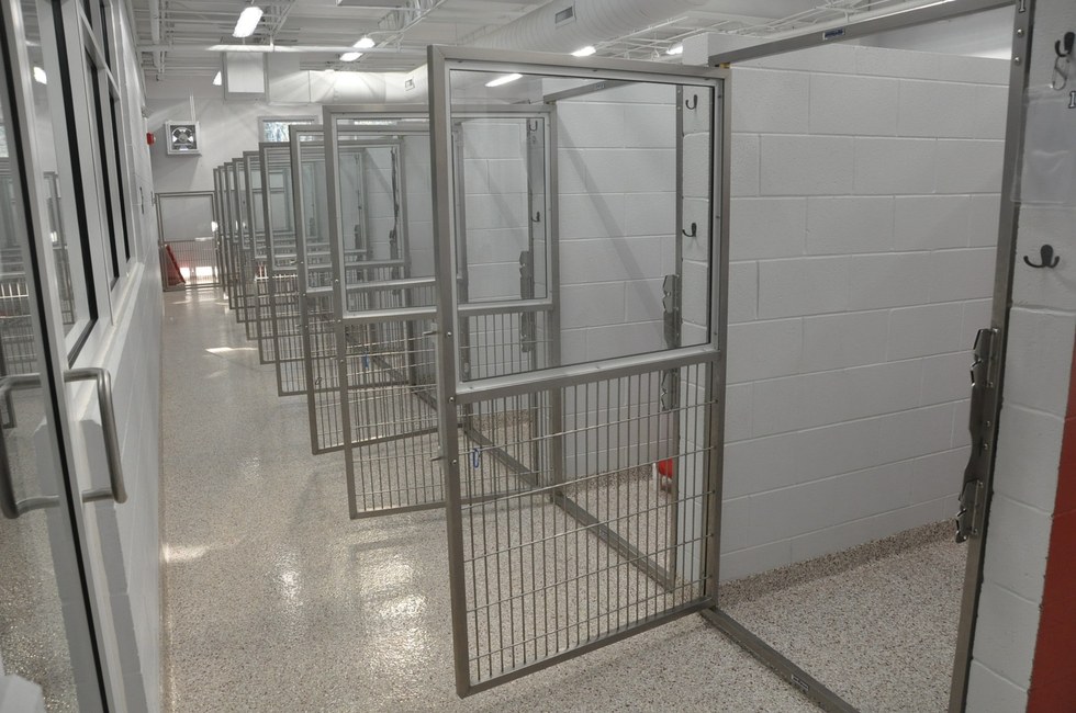 Forsyth Humane Society