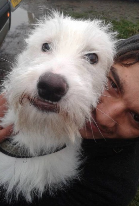 Amicii Dog Rescue