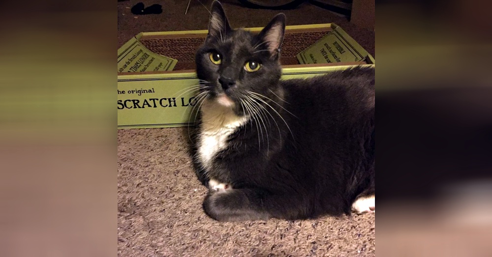 Sheila @love2foster