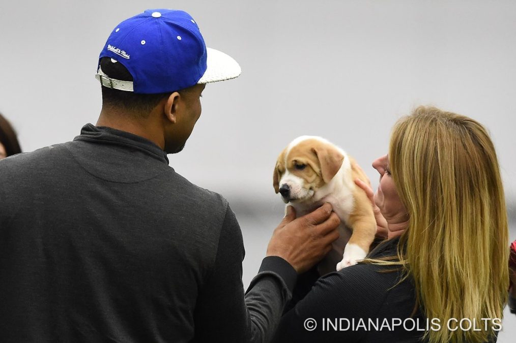 Credit: Indianapolis Colts