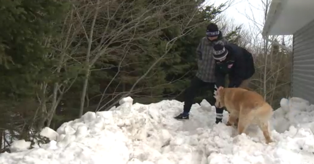 Credit: Global News