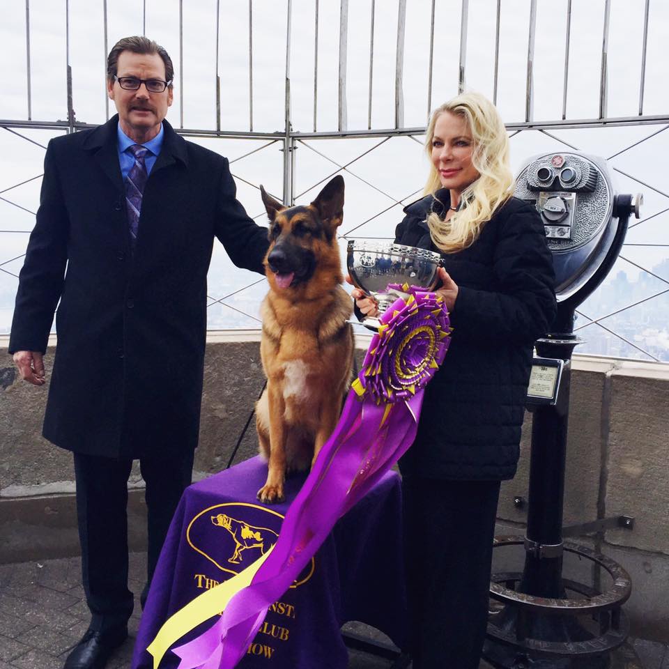 Credit: Westminster Kennel Club Dog Show