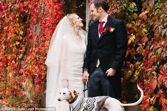 RSPCA/Kate Lowe Photography