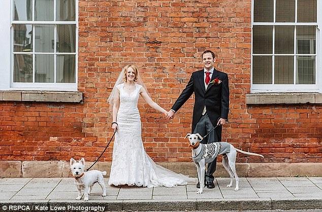 RSPCA/Kate Lowe Photography