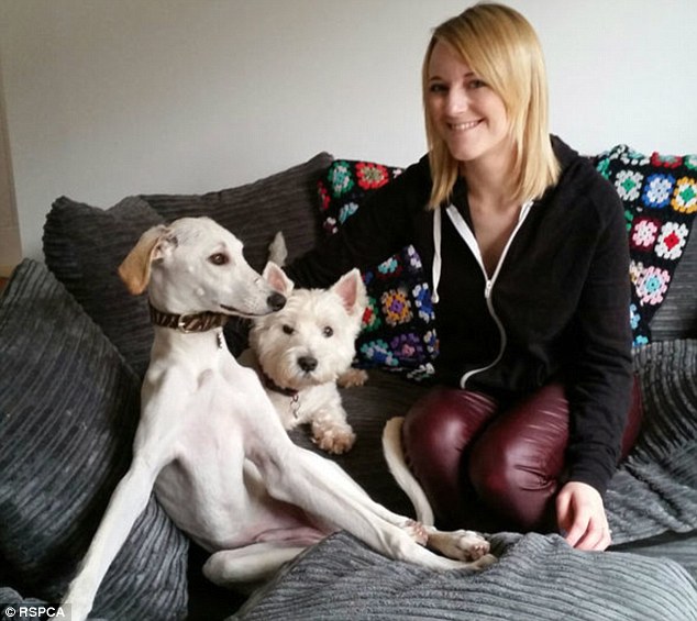 RSPCA