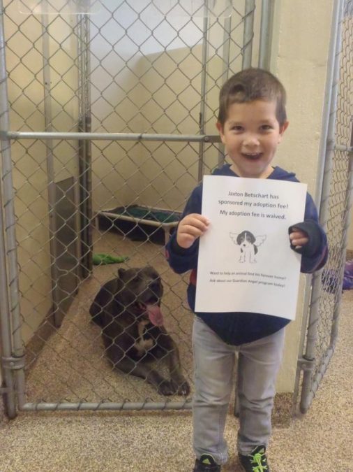 Credit: Charleston Animal Society