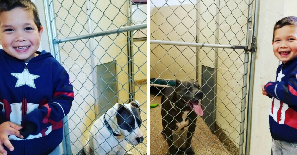 Jaxton with Penelope, then Tank Credit: Charleston Animal Society
