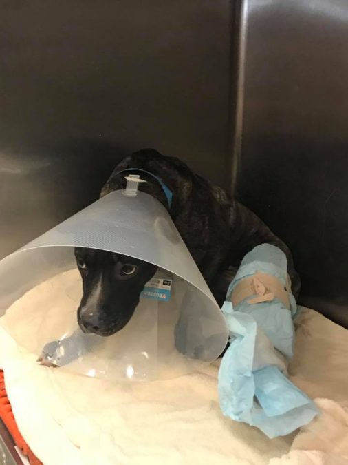 Courtesy: Amy Freeze/Facebook