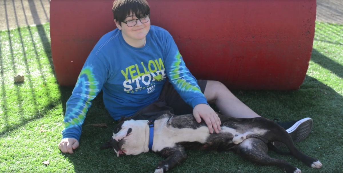 Credit: Front Street Animal Shelter - City of Sacramento