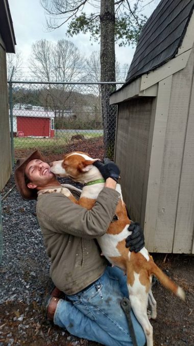 Credit: Hawkins County Humane Society