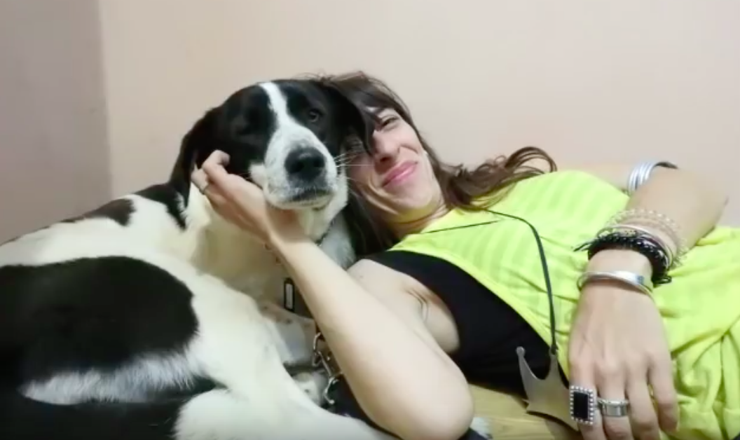 The Orphan Pet
