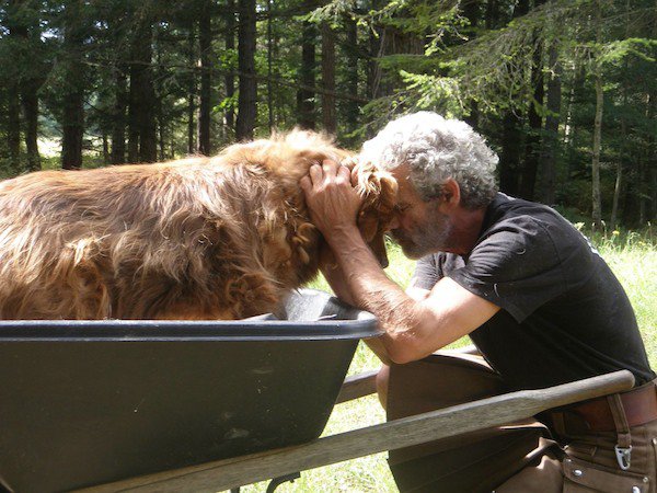 Credit: Talk It Up TV/Grey Muzzle Rescue & Sanctuary