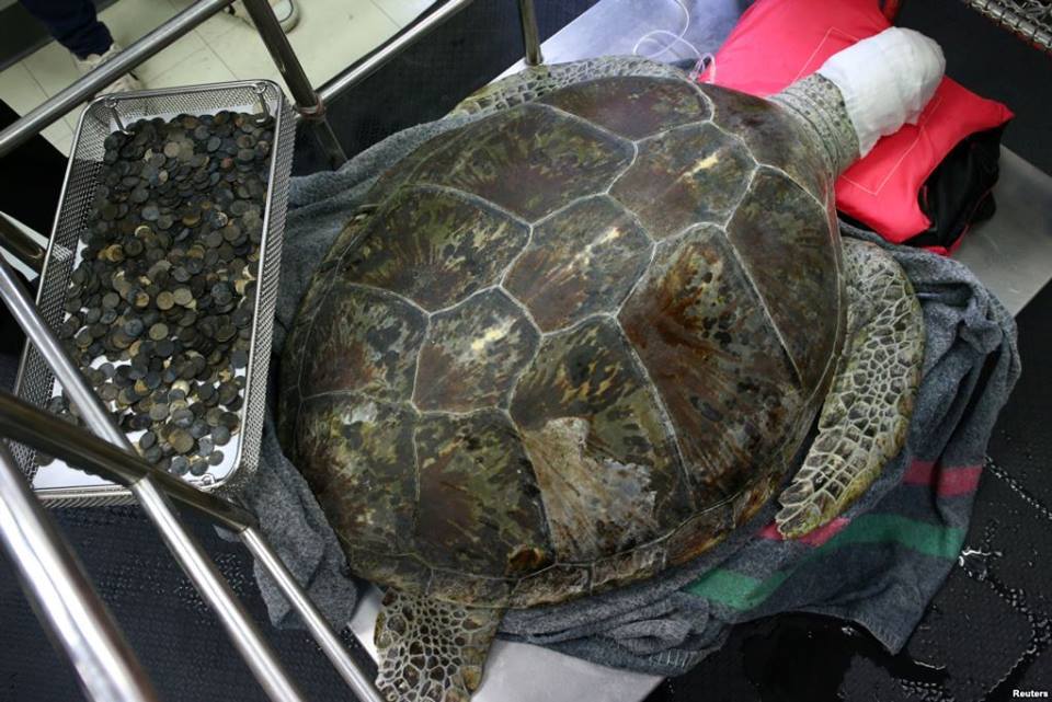 Credit: Associated Press/Chulalongkorn University