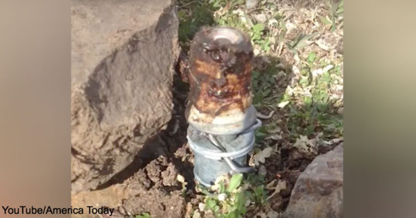 The device used by Wildlife Services to deploy cyanide gas.