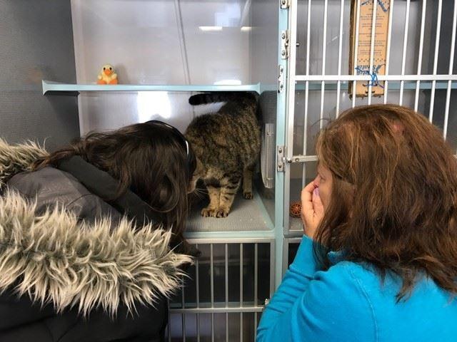 West Milford Animal Shelter
