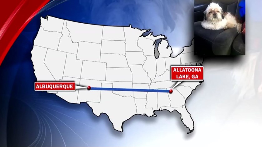 WXIA-TV