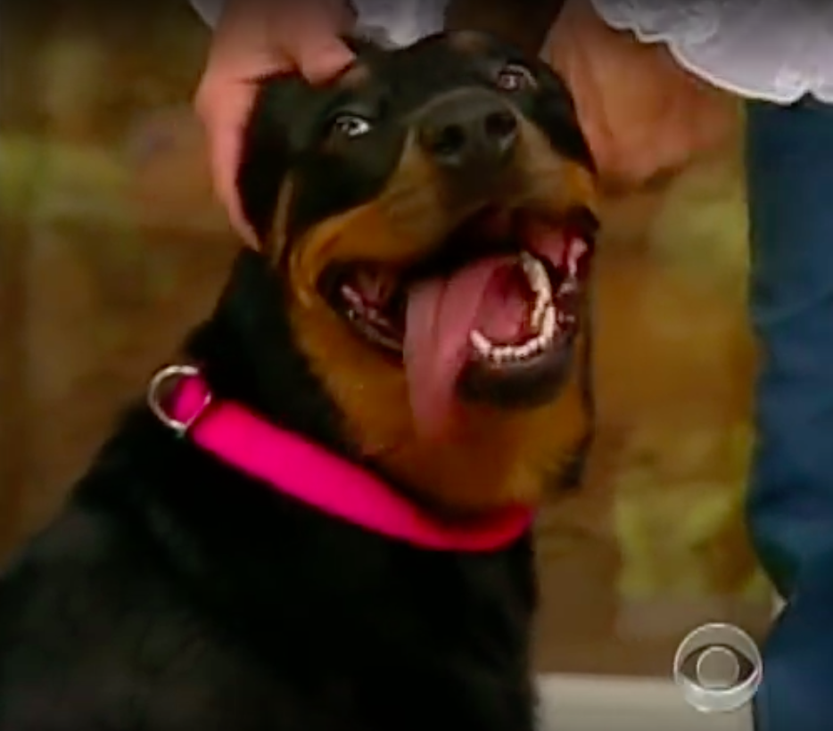 CBS News
