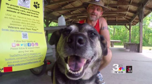 vets and their pets