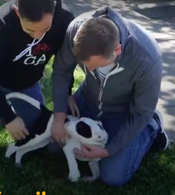 Sacramento SPCA
