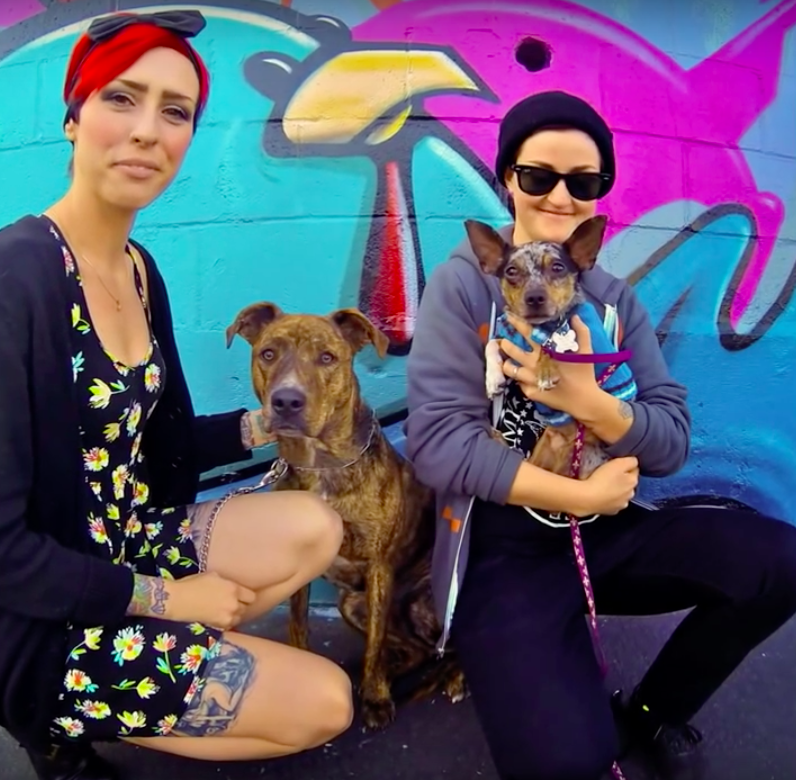 Mutt Scouts