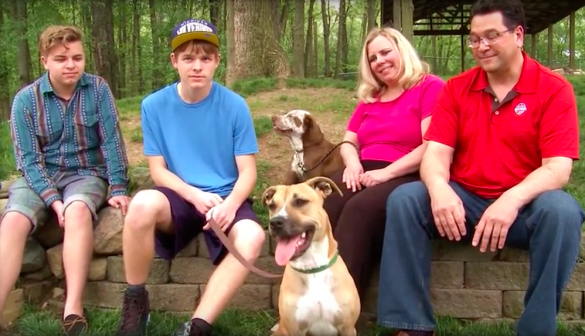 World Animal Awareness Society