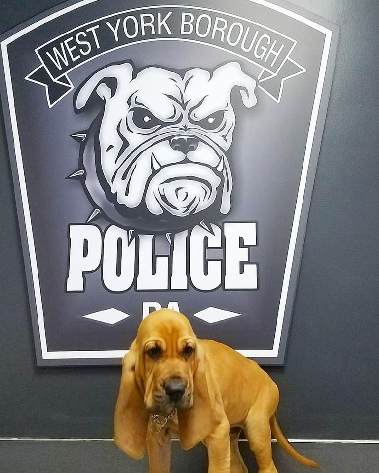 Facebook: Detective Prince
