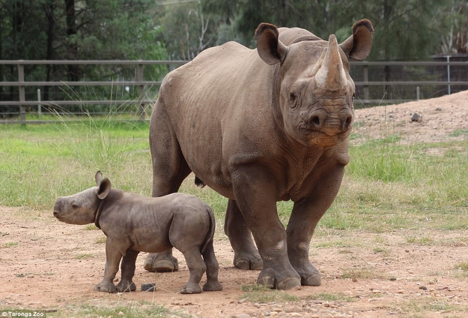 Taronga Western Plains Zoo