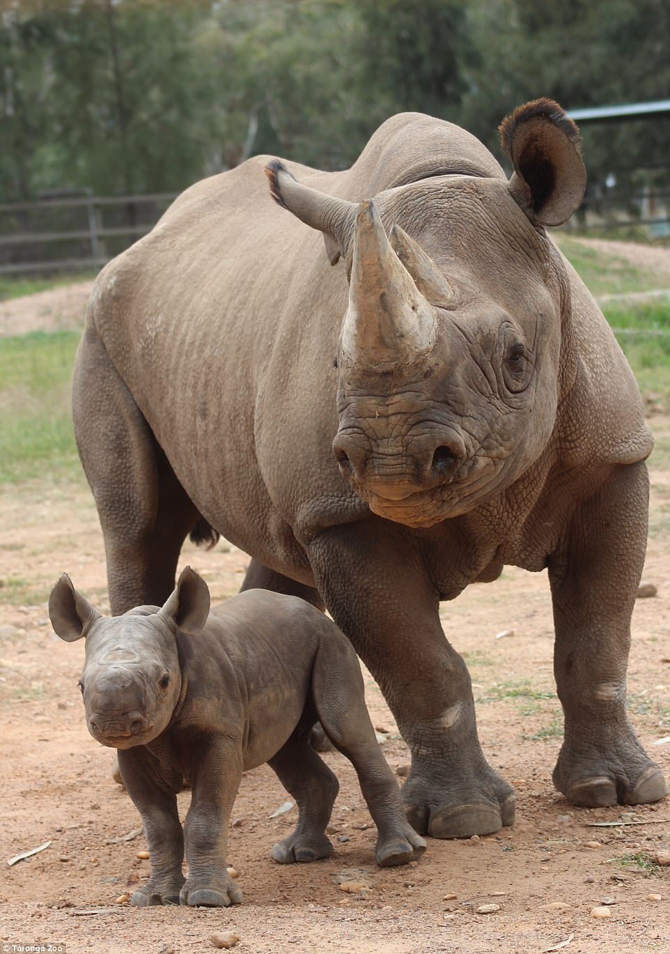Taronga Western Plains Zoo