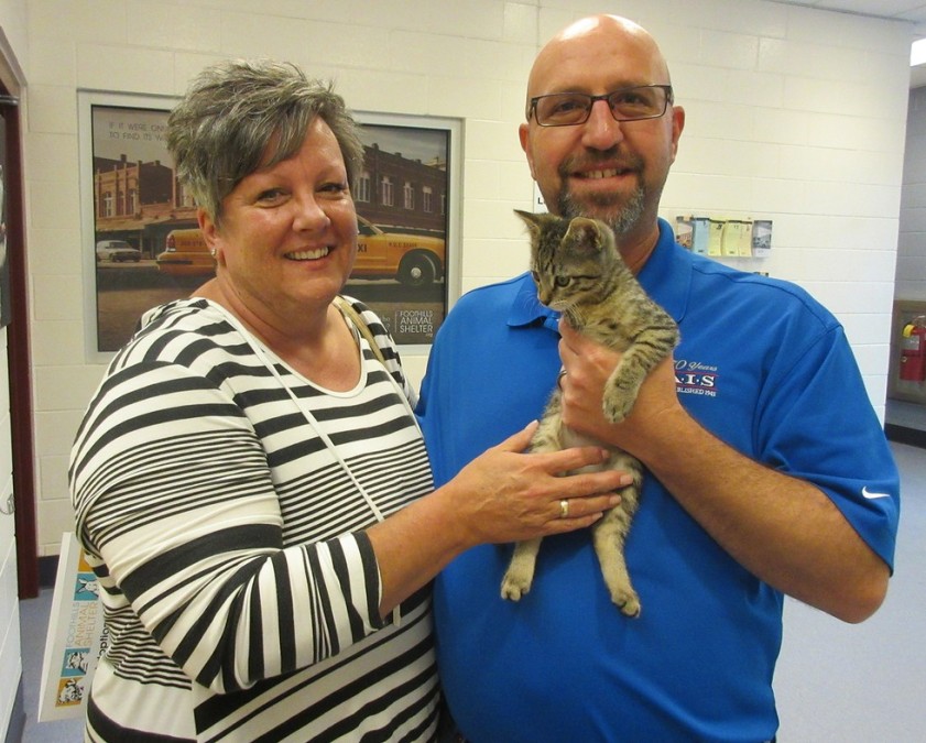 Foothills Animal Shelter
