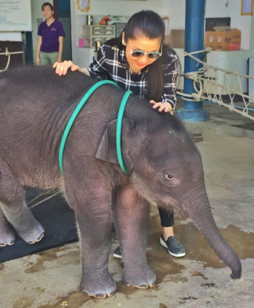 Elephant Nature Park