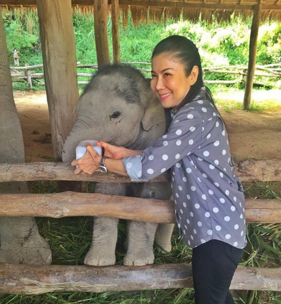 Elephant Nature Park