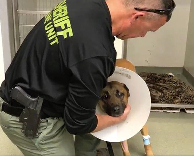 PB County Sheriff