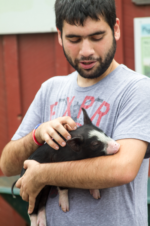 Woodstock Sanctuary