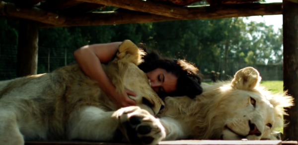 YouTube- Animal Planet