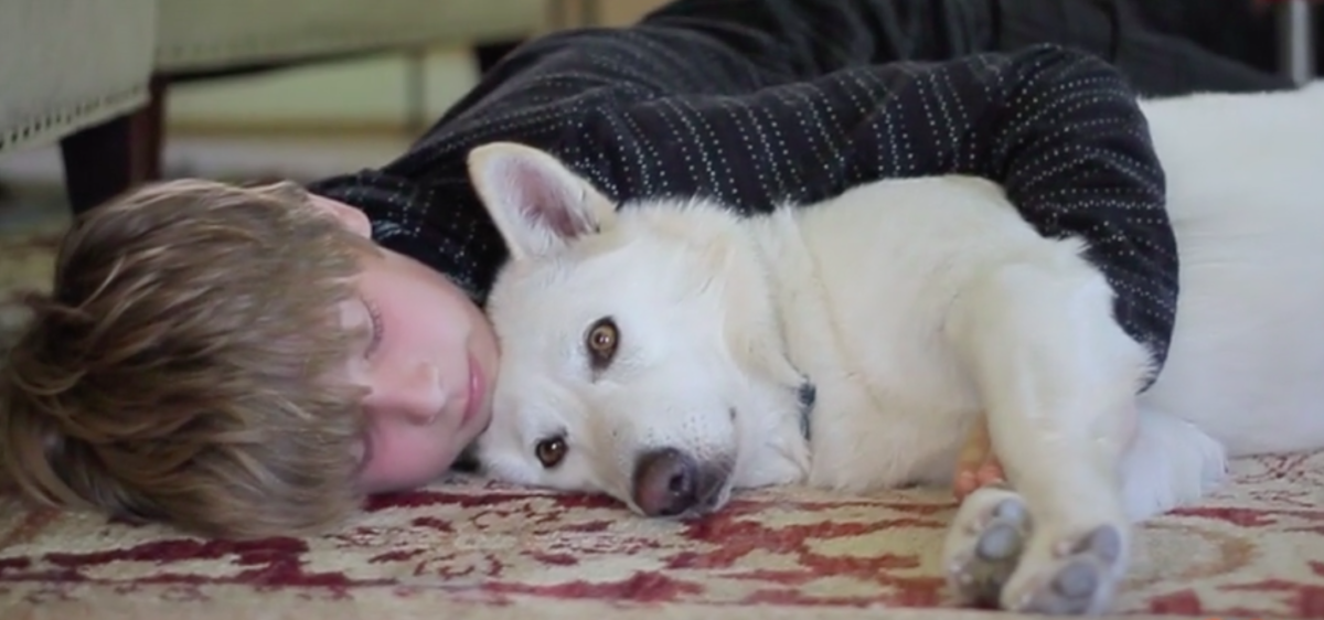 pawsitive