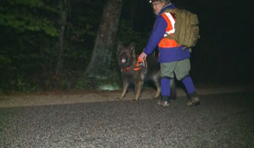 WCSH News